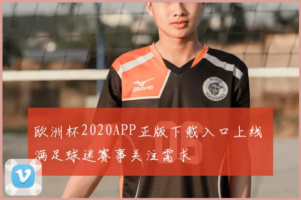 欧洲杯2020APP正版下载入口上线 满足球迷赛事关注需求